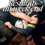 ARTICLES SITE WEB